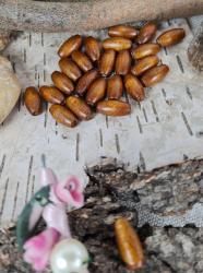 Korlky dreven/oliva 15x7mm (17g), karamel
